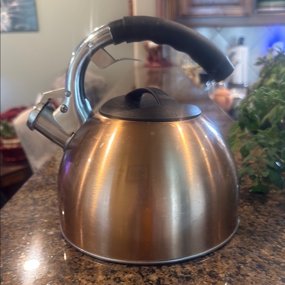 Stainless Steel  copperTea Kettle - Picture 1 of 5